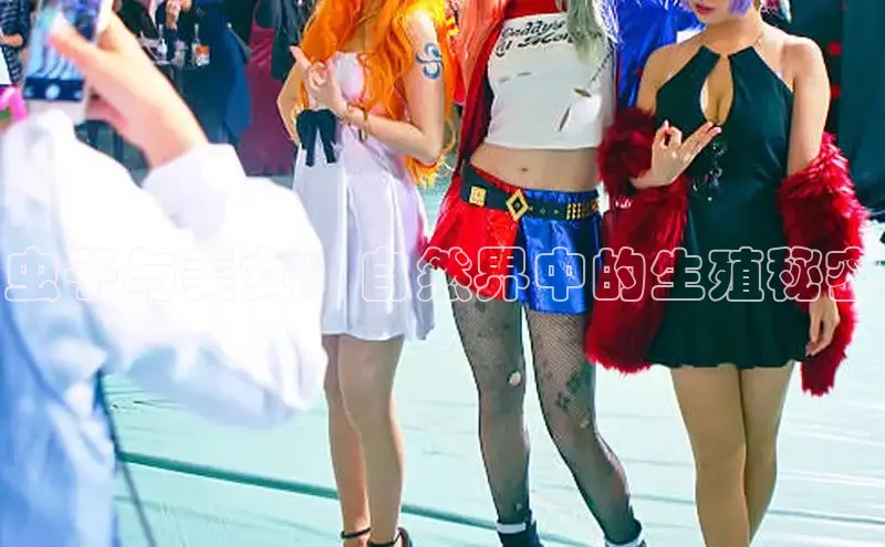 虫子与美女：自然界中的生殖秘密